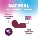 joint-support-gummies-glucosamine-plus-v-5.jpg