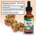 nature-s-answer-myrrh-ole-gum-resin-prom-4.jpg