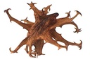bodi-devil-claw-root-powder-4oz-to-5lb-1-2.jpg