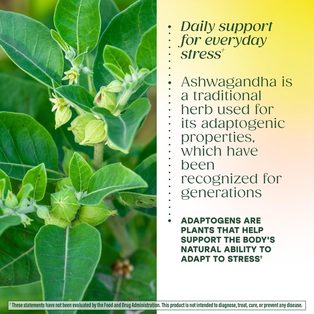 megafood-thyroid-strength-mineral-supple-6.jpg