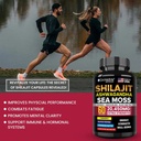 dr-wellme-shilajit-ashwagandha-sea-moss--4.jpg
