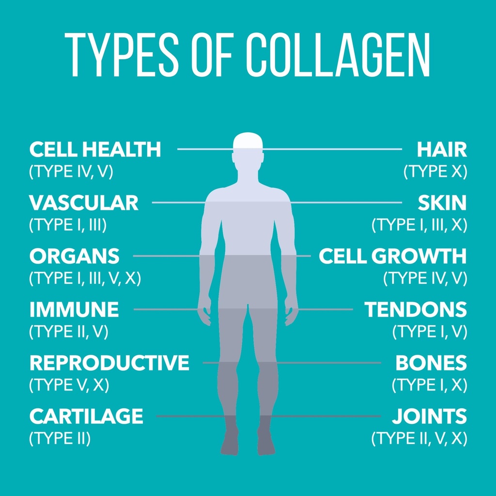 naturesplus-collagen-creamer-vanilla-0-6-4.jpg