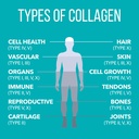 naturesplus-collagen-creamer-vanilla-0-6-4.jpg