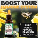 ponlee-brazil-green-bee-propolis-liquid--2.jpg