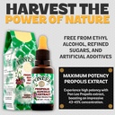ponlee-brazil-green-bee-propolis-liquid--4.jpg