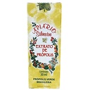 apiario-silvestre-brazilian-green-bee-pr-5.jpg