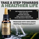 sunyata-brazilian-green-bee-propolis-liq-5.jpg