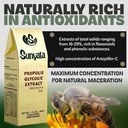 sunyata-brazilian-green-bee-propolis-liq-4.jpg
