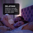 naturewise-melatonin-10mg-sugar-free-fas-3.jpg