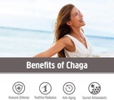 om-mushroom-superfood-chaga-organic-mush-3.jpg