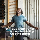 optimum-nutrition-micronized-creatine-mo-6.jpg