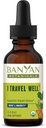 Banyan Botanicals I Travel Well Liquid Extract – Βιολογική γρήγορη δράση ανοσοποιητική υποστήριξη για τα ταξίδια – με Ashwagandha και Ginger – 1 fl. oz. – Μη ΓΤΟ Βιώσιμα πηγάζει Vegan