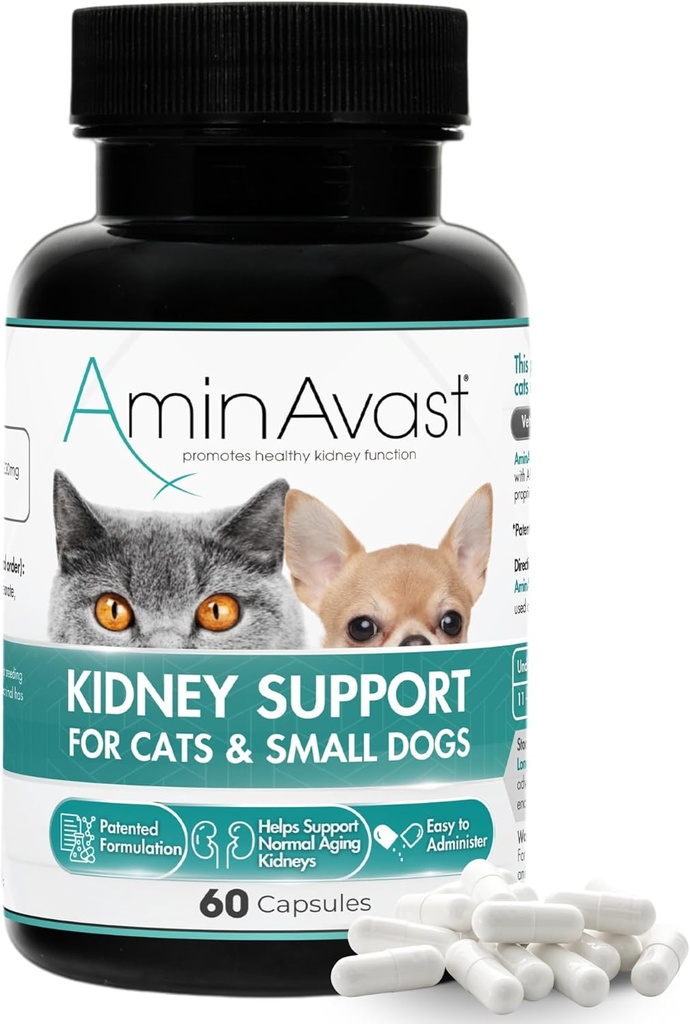 AminAvast Small Dogs & Cat Kidney Support - Promotes Healthy Kidney Support in Cats & Small Dogs - 300mg, 60 Capsule