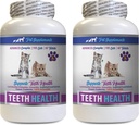 Cat Bad Breath Treats - CAT Teeth Health - Advanced Mouth Health Complex - Immune Boost - Βιταμίνη b12 για γάτες - 2 Φιάλες (120 δισκία)