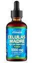Celulas Madres STem Cell Support, Plant-based, Adaptogen Blend, Cordyceps, Rhodiola Rosea, Afa, Astragalus, B Complex, Reishi, Ganoderma, Blue-Green Algae, Spirulina, 1000mg Φυσικά 13 Βασικά Συστατικά.