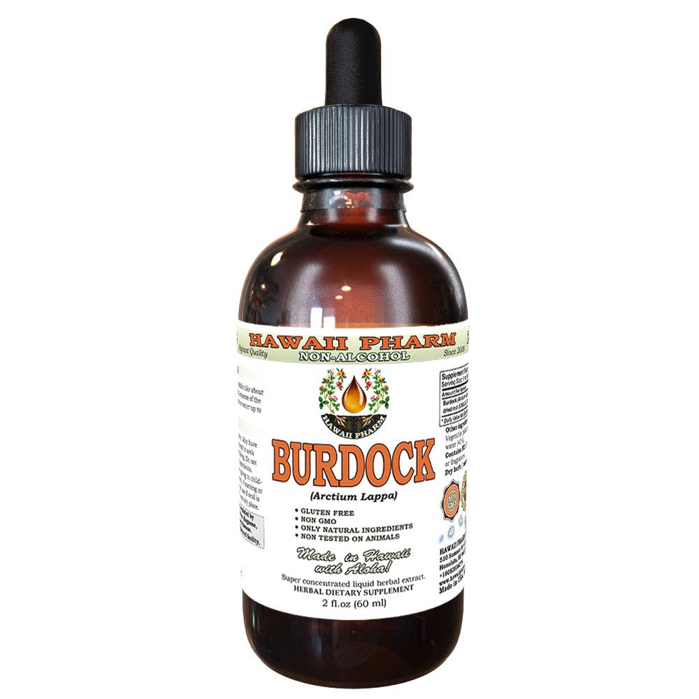 Hawaii Pharm Burdock Alcohol-Free Liquid Extract, Burdock (Arctium Lappa) Dried Root Glycerite Natural Herbal Supplement 2 oz