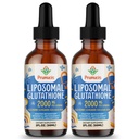 2000MG Liposomal Glutathionone Liquid, 98% Απορρόφηση, Ενεργή Μορφή L-Γλουταθειόνη συμπλήρωμα, Vegan Φιλικό, Ισχυρό Αντιοξειδωτικό Συγκρότημα για το ανοσοποιητικό σύστημα, Γήρανση Άμυνας, Detox, 4 FL.OZ