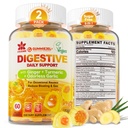 Τσίχλες Ginger Gummies για Nausea & Digestive Υποστήριξη, Στομάχι ανακούφιση, Ζάχαρη δωρεάν με Turmeric, Odorless Σκόρδο, Quercetin, βιταμίνη D3,Συμπληρώματα δυσπεψίας για Περιστασιακά Bloating & Gas, 2Pack
