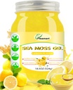 Irish Sea Moss Gel Raw 18.5OZ Natural Wildcrafted Seamoss Gel με 92 Ορυκτά και Βιταμίνες, Υγιεινή Πέψη, Μη-GMO Project