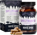 North Spore Organic 'Spectrum 10' Mushroom Extract Capsules 