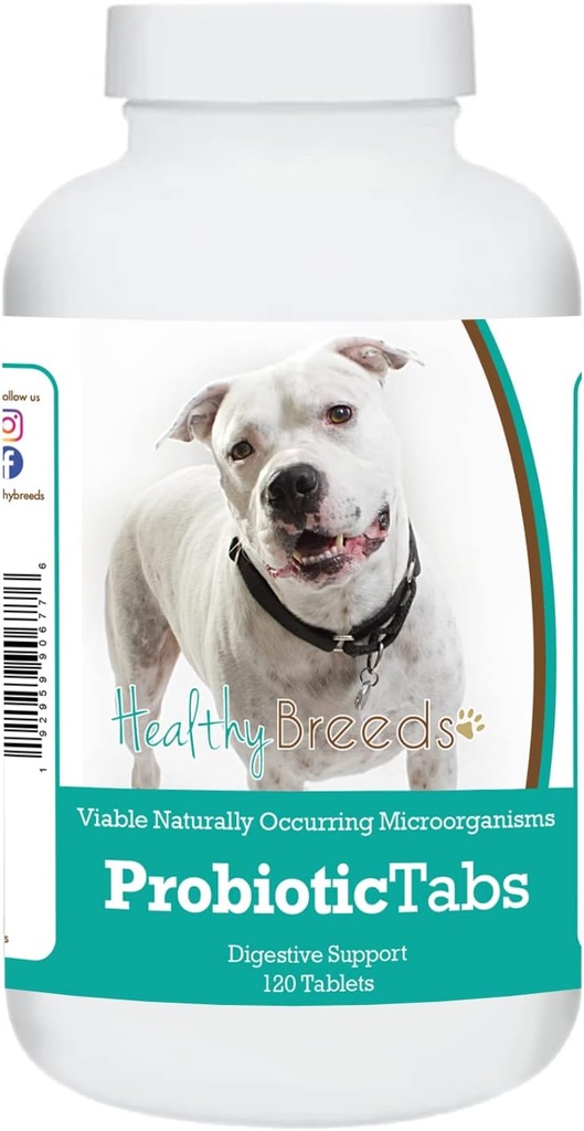 Υγιείς Φυλή Pit Bull Probiotic Tabs 120 κόμης