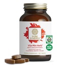 PURE SYNERGY Vita·Min·Herb για τους άνδρες 