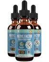 Rejuvica Health NerveFactor - Advanced Nerve Support Supplement - Υγρή Παράδοση για Καλύτερη Απορρόφηση - Acetyl-L-Carnitine, Alpha Lipoic Acid, Vitamin B12, Folic Acid, White Willow Bark & More!