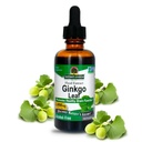 Απάντηση της φύσης χωρίς αλκοόλ Ginkgo Leaf 2000mg 2oz Extract 