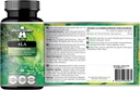 APOLLO'S HEGEMONY ALA (Alpha Lipoic Acid) 600 mg - 60 κάψουλες Vegan - Βελτιστοποιεί τη Διαχείριση Γλυκόζης - Υποστηρίζει τη Μιτοχονδριακή Υγεία - Δύο Μήνες Προμήθεια