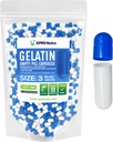 XPRS Nutra Μέγεθος 3 Κενές κάψουλες - 500 Count Empty Gelatin Κάψουλες - Χάπια DIY Καψάκιο Γέμισμα - Αγνά καπάκια τζελ Μπόβιν Χάπια Γέμισμα για Do-It-Yourself Βιταμίνες και Συμπληρώματα (Blue/White)