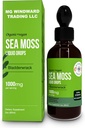 Organic Sea Moss Liquid Drops | 30,000 MG | Sea Moss with Bladderwrack, Elderberry | 4X Stronger Organic Sea Moss Than Pills and Capsules for Overall Healthy Life! 1 Bottle