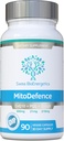 MitoDefence - 300mg CoQ10 με 21mg PQQ και 210mg Shilajit Καθημερινή δόση - All-in-ONE Μιτοχονδριακή υποστήριξη με ενισχυμένη απορρόφηση - Κατασκευάζεται και δοκιμάζεται στις ΗΠΑ