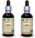 White Quebracho (Aspidosperma Quebracho-Blanco) Tincture, Dried Bark Powder Liquid Extract (Brand Name: HerbalTerra, Proudly Made in USA) 2x2 fl.oz (2x60 ml)
