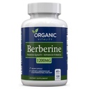 Premium Berberine HCL Supplement - 1200mg of Berberine Per Serving - 120 Vegan Capsules - Supports A Healthy Lifestyle