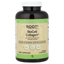 Vitacost ROOT2 BioCell Collagen Με Υαλουρονικό Οξύ -- 100 Milligram ανά υπηρεσία - 240 κάψουλες