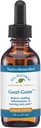 Native Remedies Gout-Gone - Φυσική Ομοιοπαθητική Φόρμουλα για το Κοινό Οίδημα, την Ερυθρότητα και τη Δυσφορία της Γούτας - 59 mL