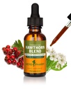 Βότανο Pharm Hawthorn Blend Liquid Extract για Καρδιαγγειακή και Κυκλοφορική Υποστήριξη, 1 Fl Oz
