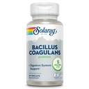 SOLARAY Bacillus Coagulans Probiotic - 5 δισεκατομμύρια ζωντανών μικροοργανισμών - Digestion and Gut Health Support - Πλήρης υγεία του σώματος Προβιοτικά με Inulin Prebiotic Fiber, 60-Day Εγγύηση, 30 Serv, 60 VegCaps