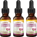 Lovita Echinacea Extract Liquid | 1 FL OZ | 350 mg per Serving | Concentrated Herb Tincture | Vegan | Alcohol-Free | with Elderberry and Licorice Extract (Pack of 3)