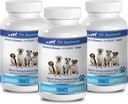 Dog Urinary Incontinence Supplements - Dog Urinary Tract Support - Natural Cranberry Solution - Bladder Health - Vet Recommended - Cranberry Juice for Dogs - 3 Bottle (270 Treats)