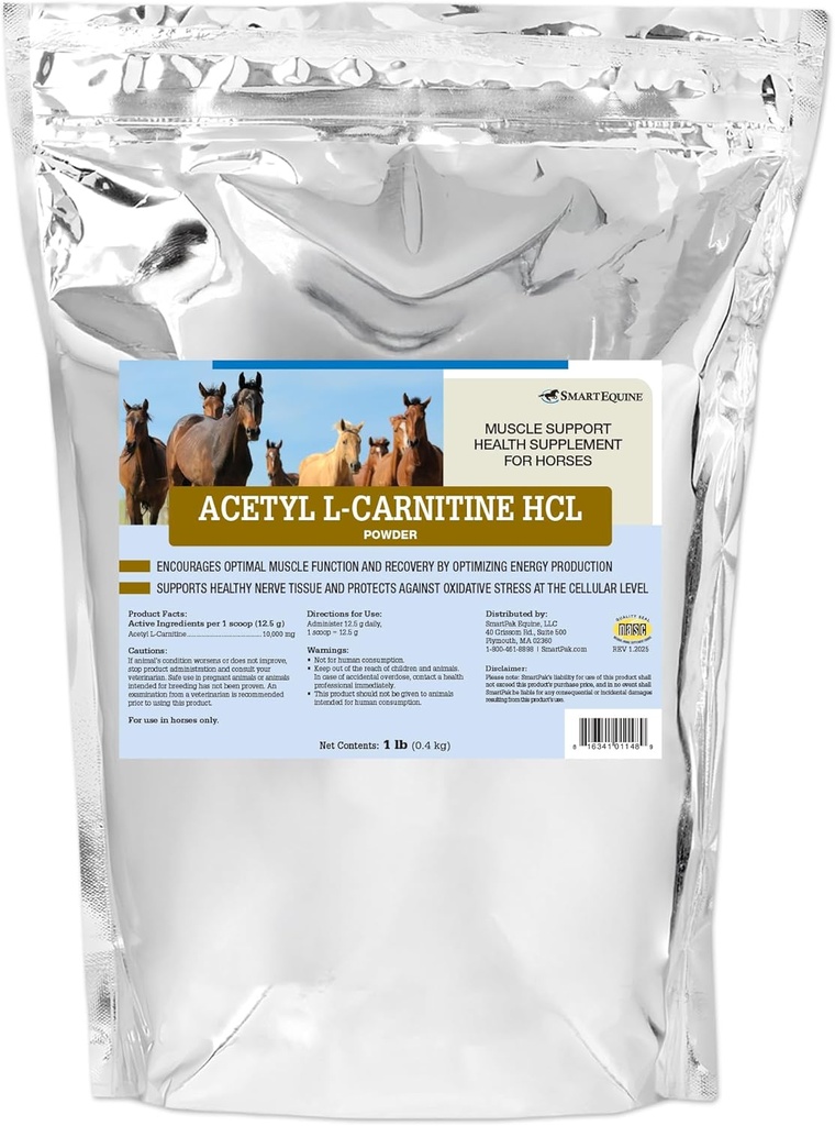 Acetyl L-Carnitine HCL σκόνη 