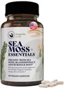 HAPPY FOX Irish Sea Moss Κάψουλες με Burdock Root & Bladderwrack - Εναλλακτική για Seamoss Gummies ή σκόνη, 90 Vegan Caps, Κατασκευασμένες στις ΗΠΑ