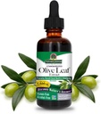 Απάντηση της φύσης Olive Leaf Extract, χωρίς αλκοόλ, μη ΓΤΟ, Vegan, Gluten-free, Made in USA, 2 Ουγγιά 