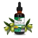Απάντηση της φύσης Olive Leaf Extract, χωρίς αλκοόλ, μη ΓΤΟ, Vegan, Gluten-free, Made in USA, 2 Ουγγιά 