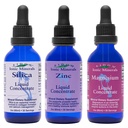 Eidon Ionic Minerals Liquid Silica, Zinc, & Magnesium Drops Variety Pack - Silica, Zinc, & Magnesium Συμπληρώματα, All-Natural Trace Minerals, Δεν Συντηρητικά ή Πρόσθετα - 2 oz, Συσκευασία των 3