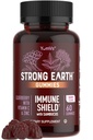 Ισχυρή Γη Gummys Elderberry – Sambucus Elderberry Ανοσοποιητική Υποστήριξη με Βιταμίνη C & Ψευδάργυρο – Black Elderberry Gummies, Berry Flavor, Non-GMO, Gluten Free, Kosher – 60 Count