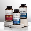 VITASEI Ανδρικό πακέτο δύναμης υγείας – Testronix, Prostabionic & Liver Cleanse Bundle – Ενίσχυση της ενέργειας, των μυών, του προστάτη και της υγείας του ήπατος με στοχευμένα συμπληρώματα