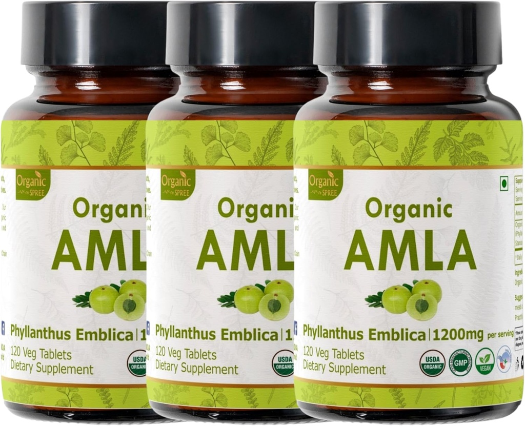 Amla 120 δισκία – USDA Organic Indian Gooseberry – Πλούσιο σε βιταμίνη C & Υποστηρίζει την Ανοσολογική Υγεία* - Συσκευασία των 3