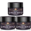Ajoblanco 600mg Φυσικό οργανικό Shilajit των Ιμαλαΐων Resin - Gold Shilajit Resin με οργανική Ayurvedic Blend σε υψηλή ισχύ για την ενέργεια, τη δύναμη και την ασυλία, πακέτο των 3