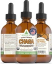 RawGuru Chaga Mushroom Supplement - Vegan Chaga Mushroom Extract with Trace Minerals - Nano-Processed Immunity Boost & Cognitive Supplement Timcture - 60 Μερίδες Vegan Drops ανά 60 ml, Συσκευασία 1
